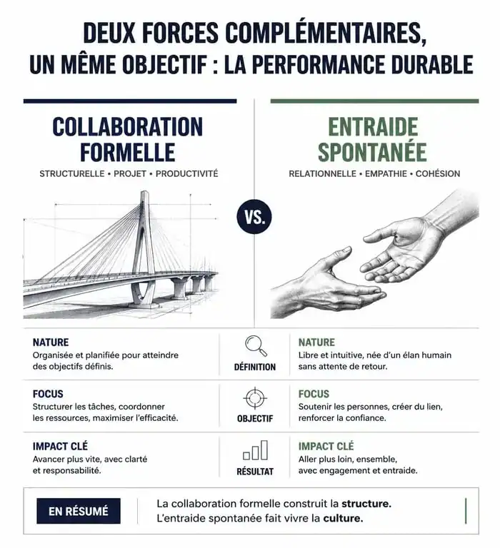 Infographie comparative entre collaboration formelle et entraide spontanée pour mieux collaborer ensemble au travail